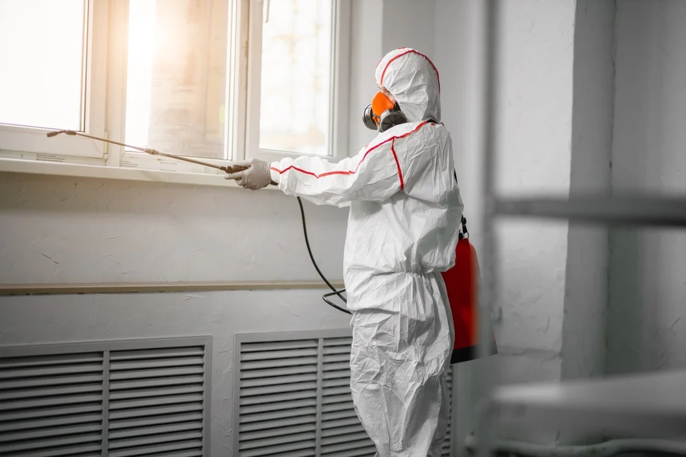 Professional mold remediation services in Somers, CT
